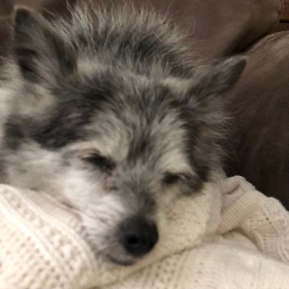 Meet your Posher, Christine